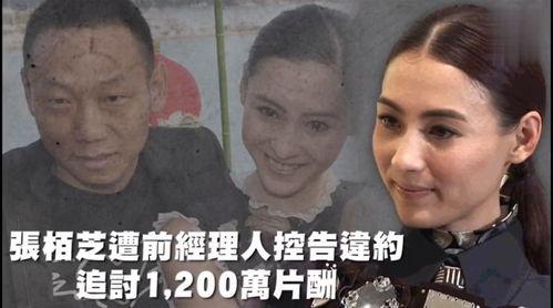 娱乐综艺吃瓜崽,吃瓜崽带你揭秘娱乐圈幕后故事