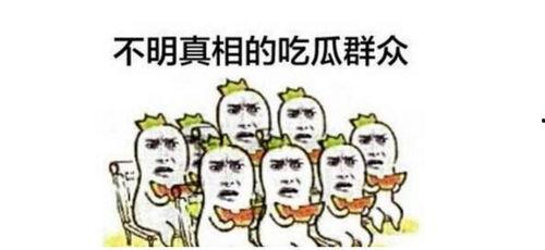 小龙娱乐辩论吃瓜,吃瓜群众如何成为舆论风向标
