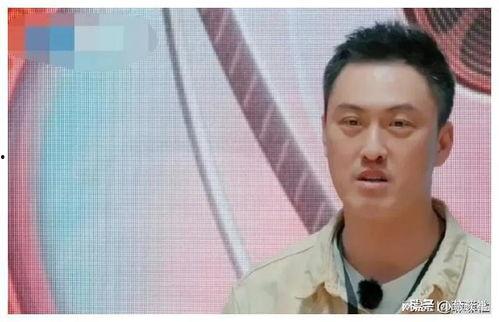 娱乐圈吃瓜爆料文字,揭秘明星背后的秘密与八卦